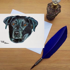 Black Labrador Greetings Card, blank high quality printed cards from hand drawn fine art original.