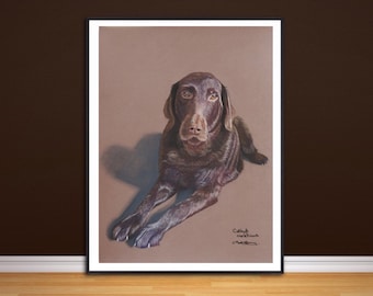 Chocolate  Labradoodle  fine art giclee print, from hand drawn coloured pencil original.