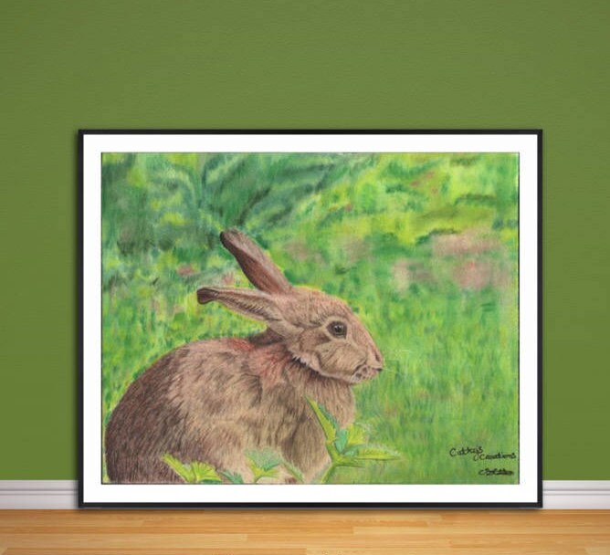 Rabbit fine art giclee print, from hand drawn coloured pencil original artwork.