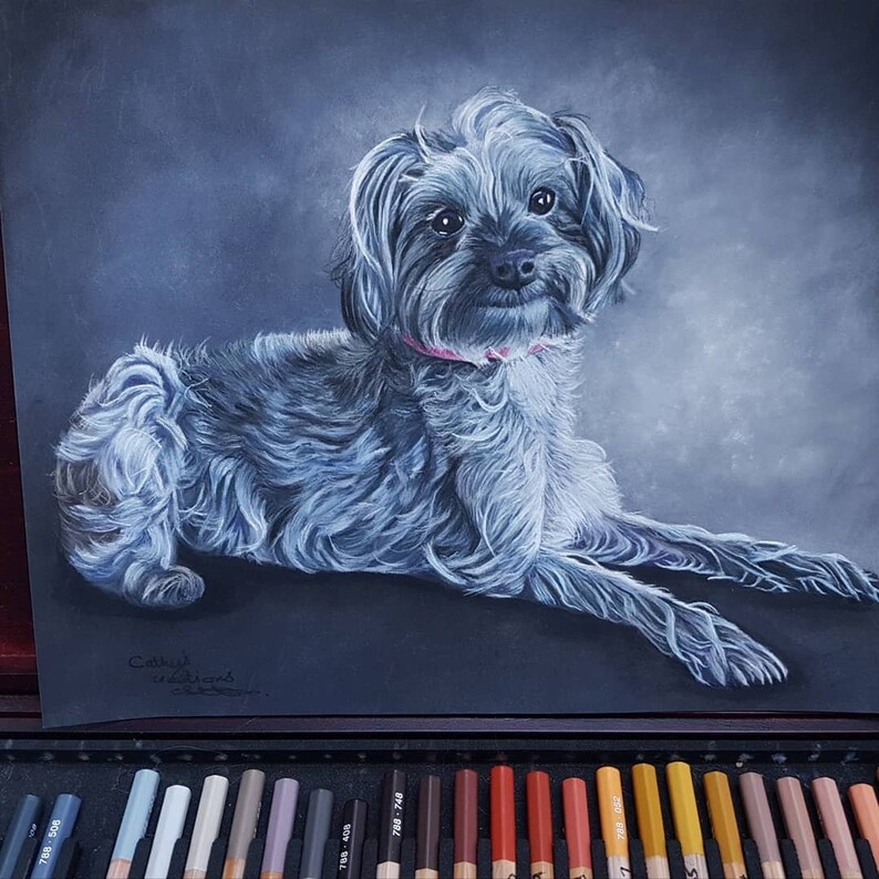Yorkipoo fine art giclee print from hand drawn coloured pencil original artwork.