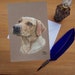 see more listings in the Dog Greetings Cards section