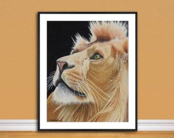 Lion fine art Giclee print, from original hand drawn coloured pencil original artwork