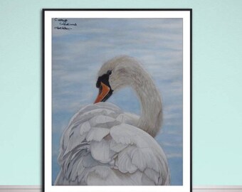 Swan fine art giclee print, from hand drawn coloured pencil original.