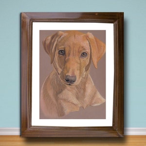 Fox Red Labrador puppy fine art giclee print, from hand drawn coloured pencil original.
