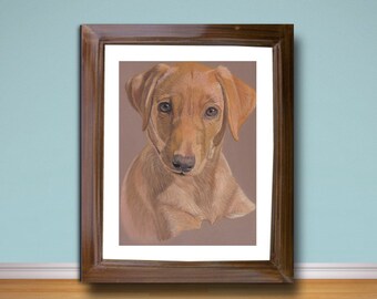 Fox Red Labrador puppy fine art giclee print, from hand drawn coloured pencil original.