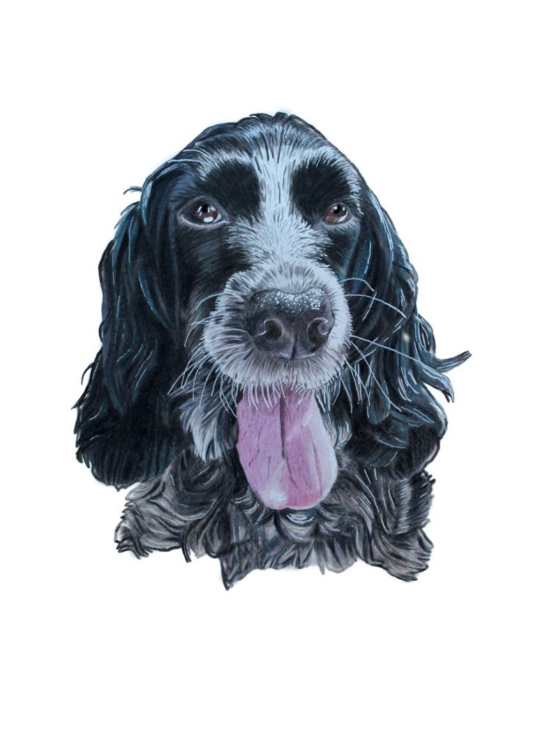 Cocker Spaniel Greetings Card, blank high quality printed cards from hand drawn fine art original. image 2