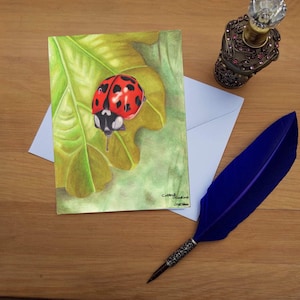 Tarjeta de felicitación Ladybird, tarjetas impresas en blanco de alta calidad del original de bellas artes dibujado a mano.
