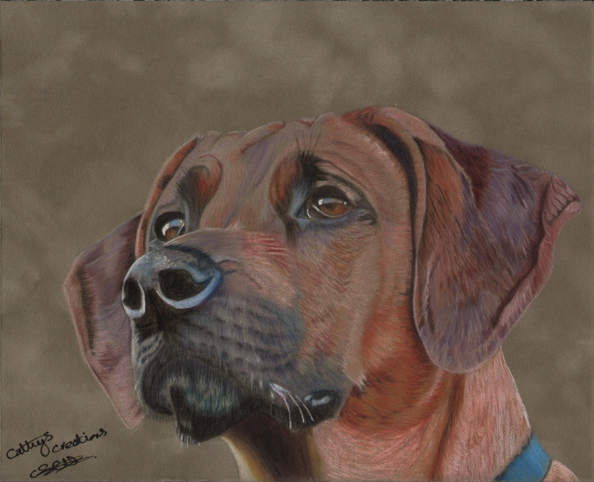 Rhodesian Ridgeback Greetings Card, Blank High Quality Printed Cards ...