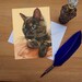 Tortoiseshell Cat Greetings Card, Blank High Quality Printed Cards From ...