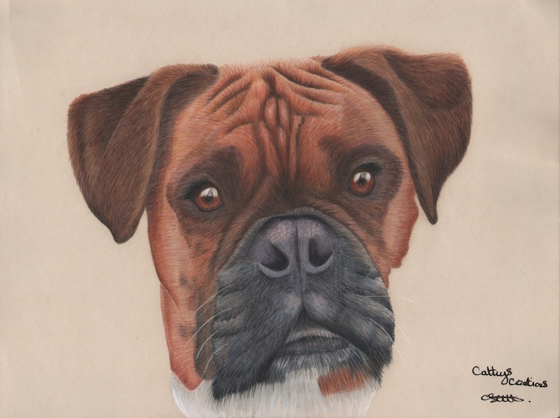 Boxer Dog Greetings Card,Blank high quality printed cards from hand drawn fine art original.