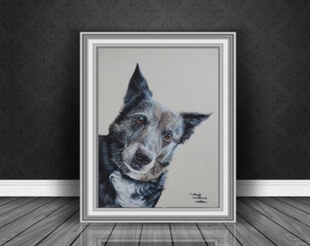 Border Collie fine art Giclee print, from hand drawn pastel original