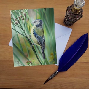 Tarjeta blue Tit, tarjetas impresas en blanco de alta calidad de original de bellas artes dibujadas a mano.