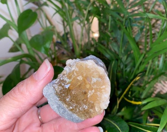 Calcite Crystal from Florida