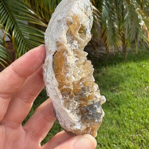 May include: A hand holds a natural, raw crystal formation. The crystal features a mix of colors, including creamy white, golden yellow, and gray. The rough texture and irregular shape highlight its natural origin.