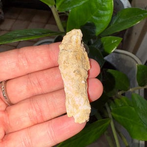Fulgurite - Fossilized lightning fossil from Florida