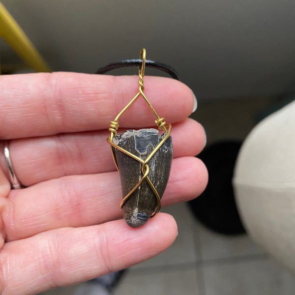 Alligator tooth pendant - fossilized