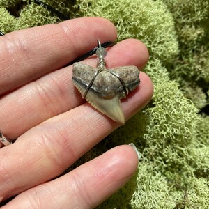 tiger shark necklace with green agate bead