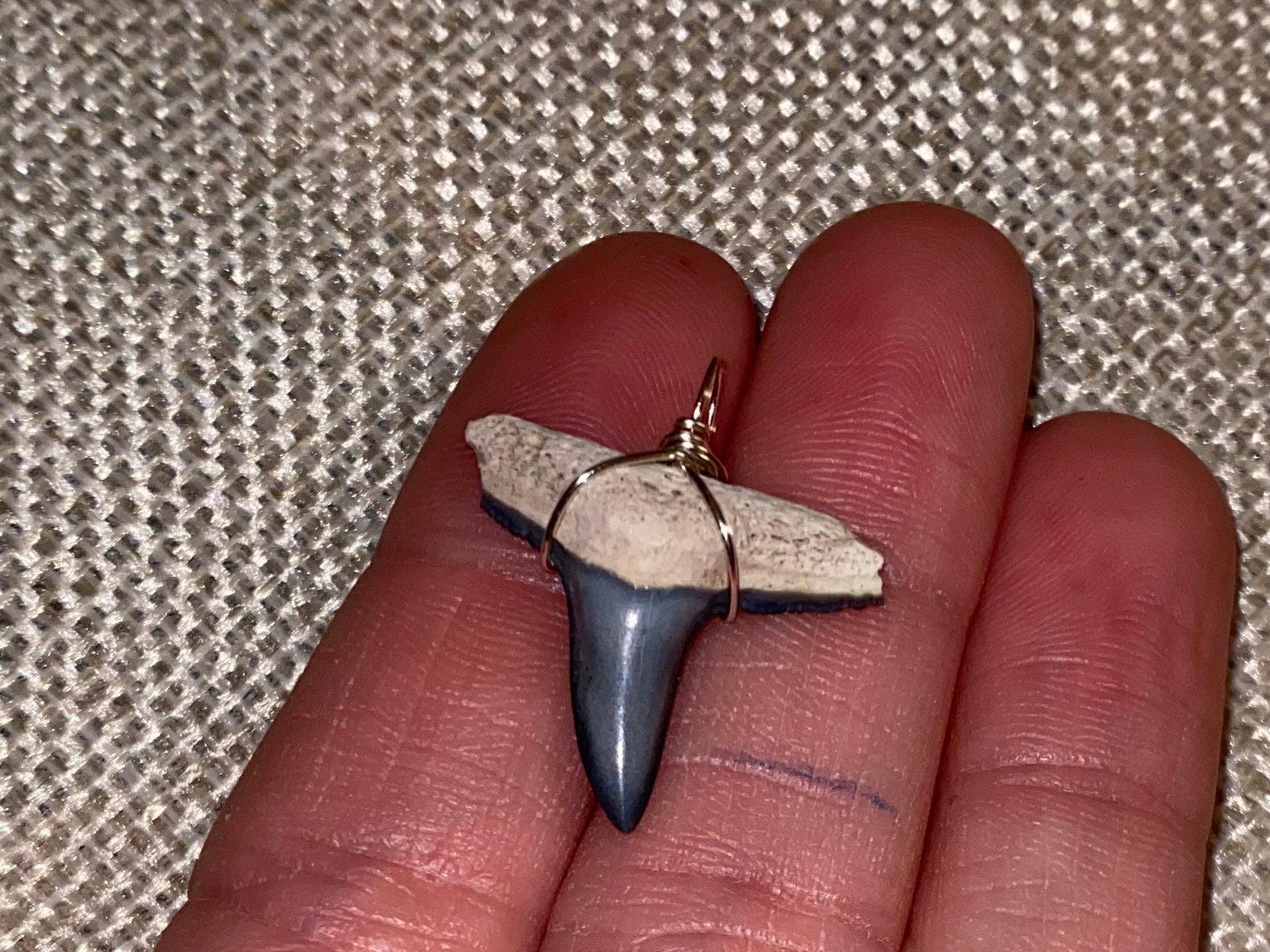 Bone Valley Lemon shark tooth necklace Etsy