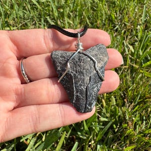Juvenile Megalodon tooth pendant - Florida