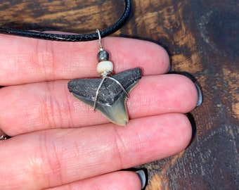 Parrish shark tooth necklace
