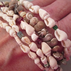 May include: A multi-strand bracelet made of white seashells, brown and white snail shells, and small red and green glass beads.