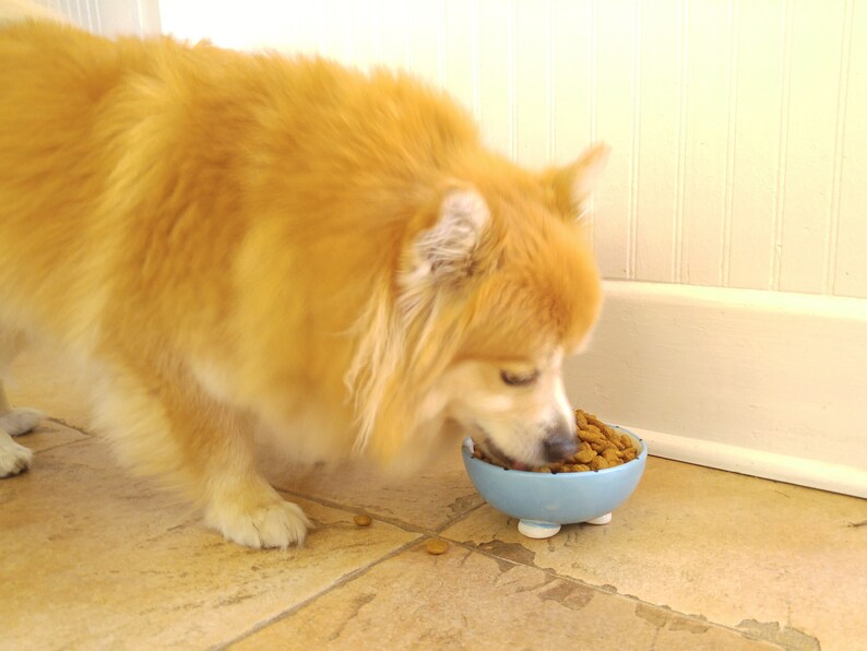 Pet Food Bowl Personalized Cat Bowl Pet Water Bowl Cat Bowl Personalized Dog Bowl Gifts Under 30 Pet Gift Pet Lover Dog Water Dish