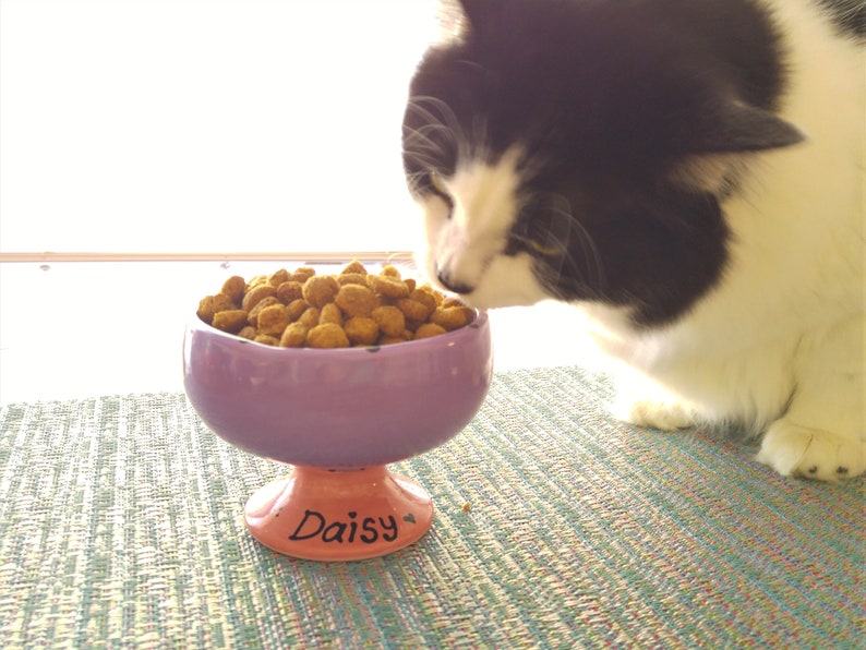 Pet Food Bowl Personalized Cat Bowl Pet Water Bowl Cat Bowl Personalized Dog Bowl Gifts Under 30 Pet Gift Pet Lover Dog Water Dish