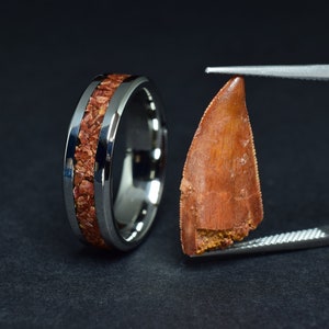 Titanium Wedding Ring with Crushed Dinosaur Tooth Fossil - Velociraptor Tooth Inlay - Engraving optional