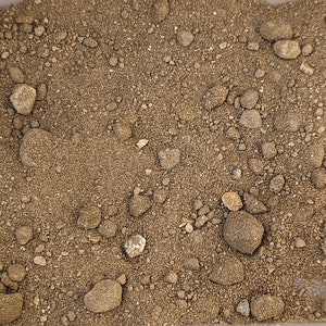 May include: A close-up of a clear plastic container filled with brown sand and small, smooth, brown rocks.