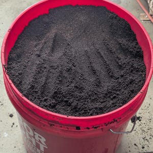 May include: A red plastic bucket filled with dark brown soil. The soil has visible ridges, suggesting it has been raked or smoothed. The bucket is sitting on a concrete surface.