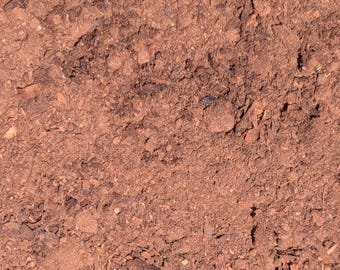 Estiércol de pollo orgánico (10 kg), fertilizante orgánico para pollo, estiércol de pollo para jardinería orgánica, el mejor fertilizante para huertos.