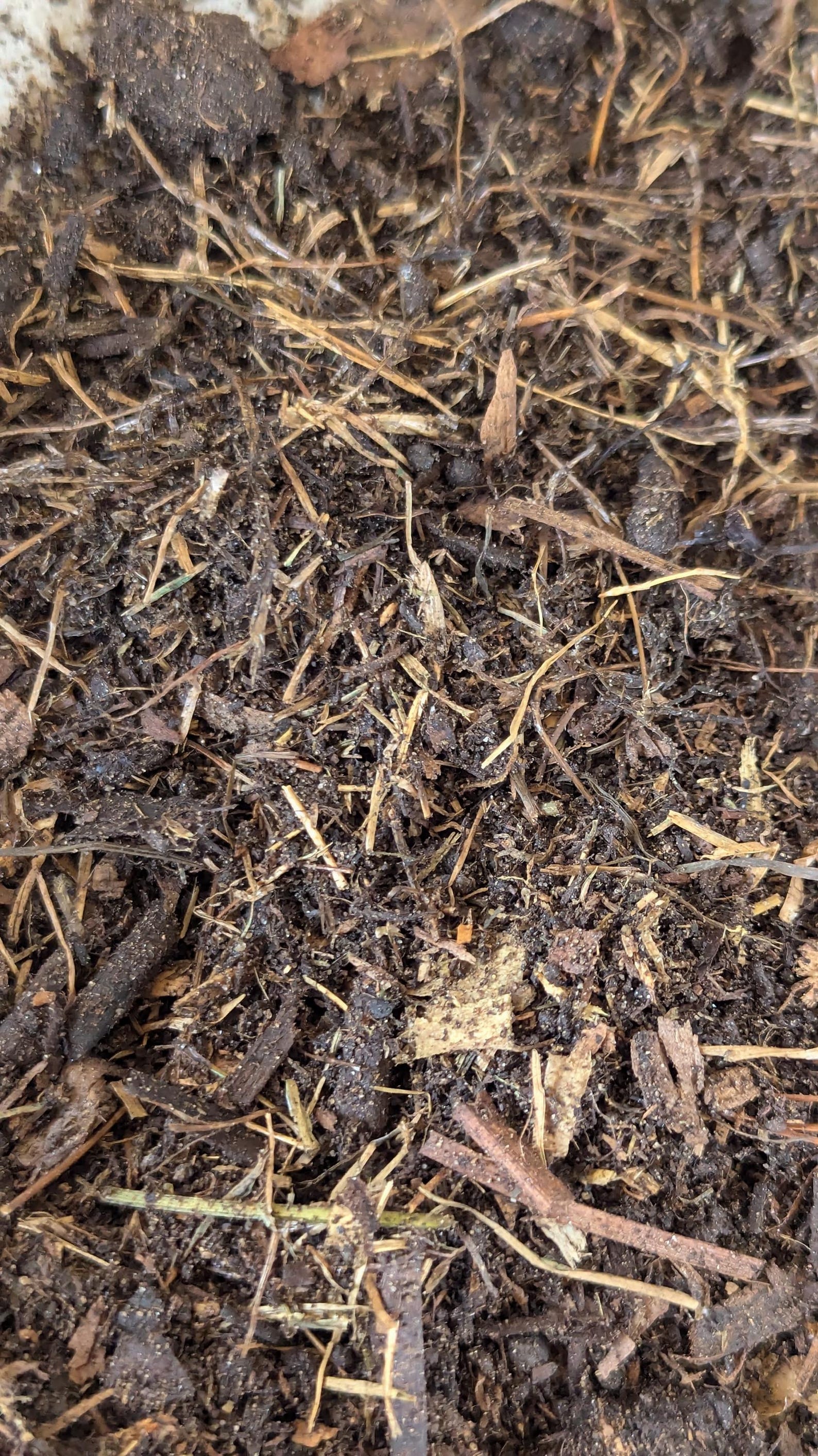 MUSHROOM COMPOST (spent Mushroom Substrate)(15lbs) - Etsy