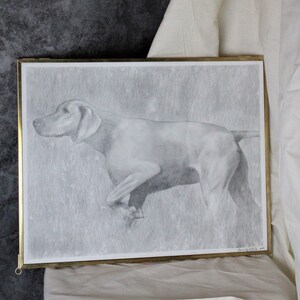 Custom Pointer Dog Portrait - Hunting Dog Drawing - Personalized Art - Hand-Drawn Pet Portrait - Dog Lover Gift - Pet Memorial Artwork