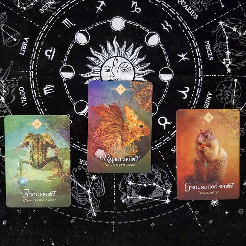 Tik Tok Tarot Card Reading Same Day Divination Etsy