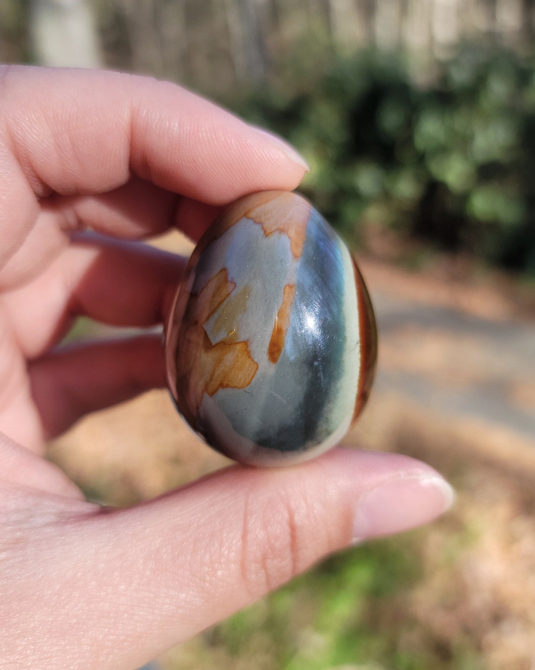 Polychrome Jasper Egg Desert Jasper Crystal Crystal Egg Etsy
