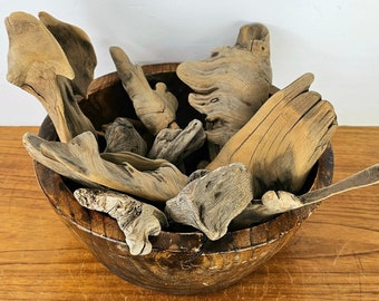 Saltwater Driftwood Collection, Vintage Naturally Weathered 22 Pieces in a Turned Fir Crotch Wood Bowl. 1970s. Seaside Natural Sculpture