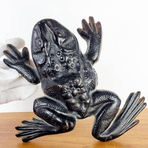 May include: A black cast iron frog figurine with a detailed textured surface. The frog is posed with its legs outstretched and its head tilted up.