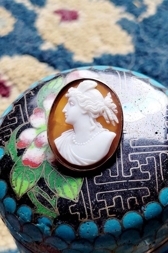 Antique Victorian Hardstone / Agate Cameo  Brooch 