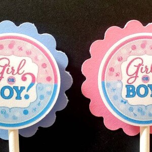 Girl or Boy Gender Reveal Cupcake Toppers Set of 24