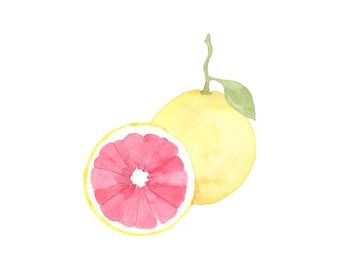 Grapefruit Aquarell Pack