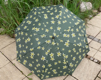 Regenschirm mit Edelweiß
