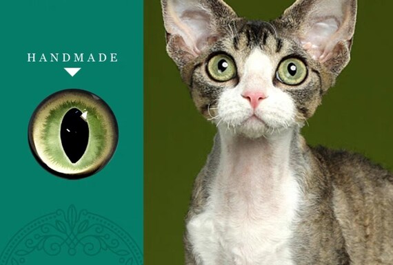 Green Cat Glass Eyes 