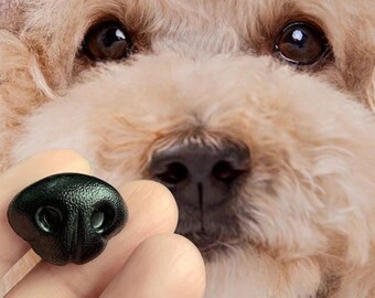 Nez de chien marron noir, jouets en feutre, nez de poupée bricolage, feutrage d'animaux, différentes races, nez de sécurité pour jouets, nez de races de chiot, bricolage, nez de bichon, bricolage