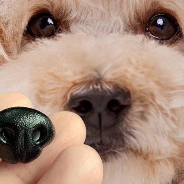 Black brown dog nose felted toys doll noses diy felting animals different breeds safety nose for toys puppy breeds nose diy bichon nose diy