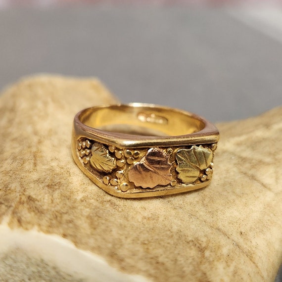 Vintage Men's Heavy 10k Gold Ring with Black Hill… - image 4