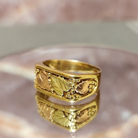 Vintage Men's Heavy 10k Gold Ring with Black Hill… - image 2