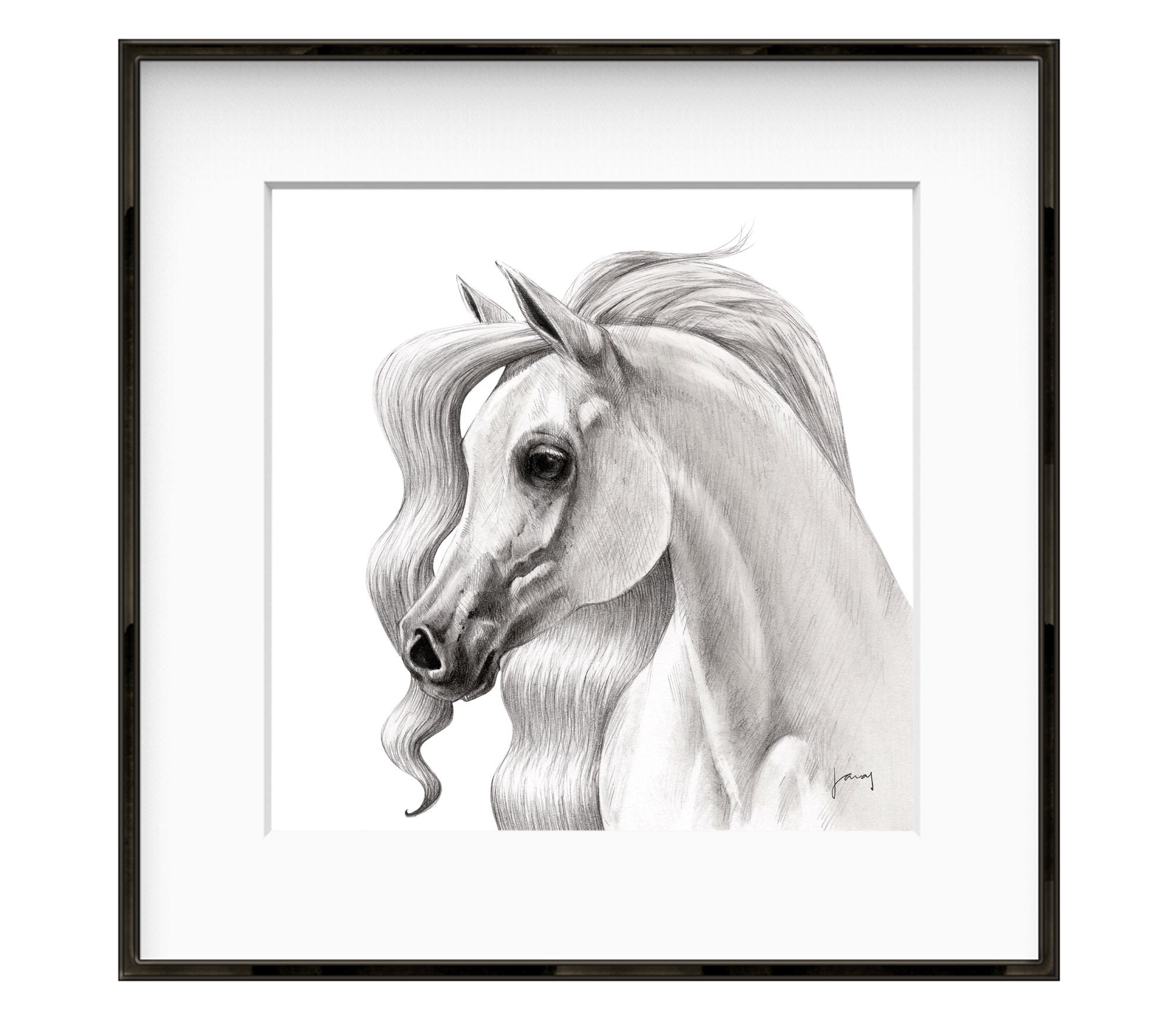 Dessin Cheval Realiste Noir Et Blanc Impression dart de cheval arabe dessin au crayon réaliste - Etsy France