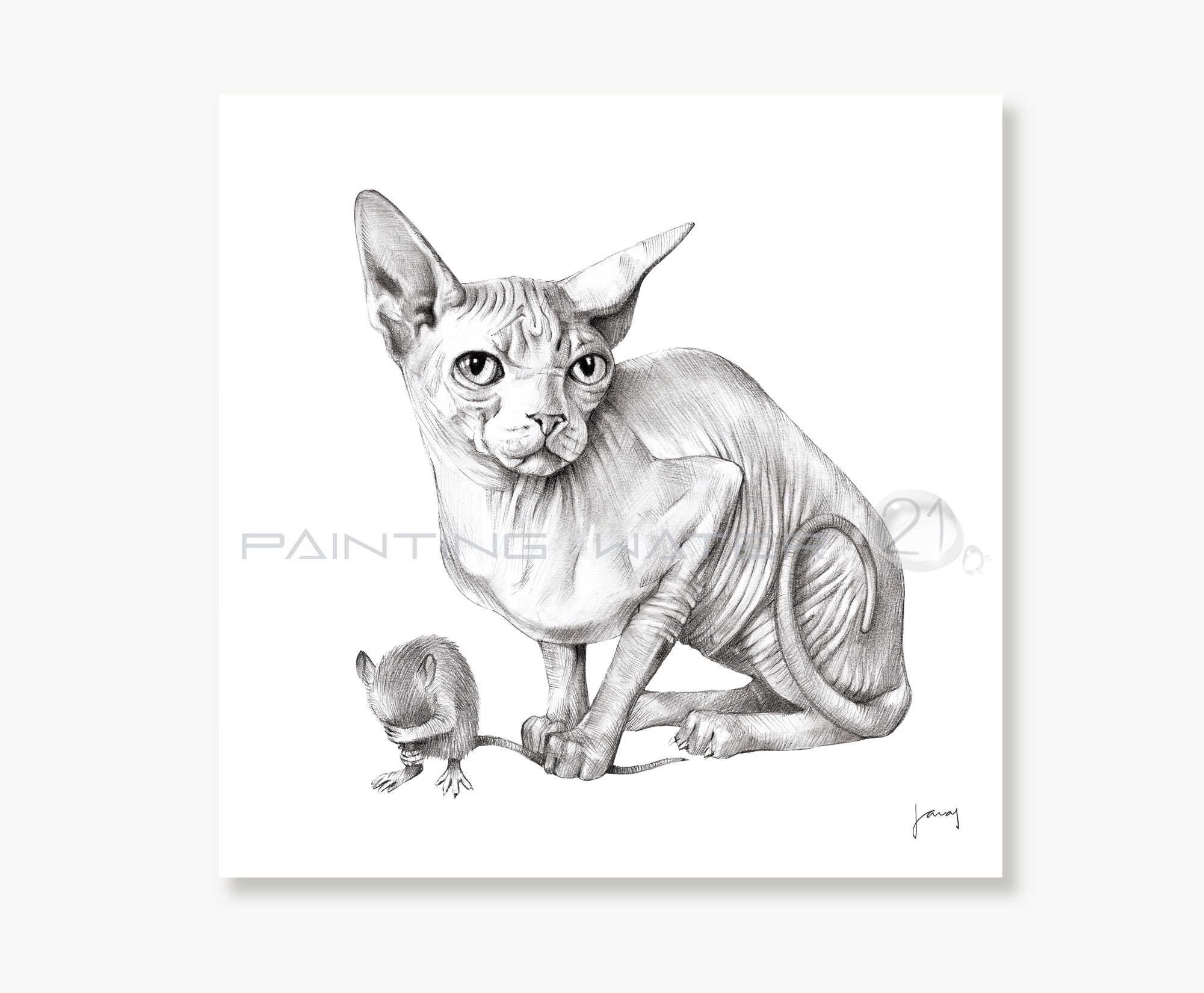 Sphynx Cat Art Cat And Mouse Illustration Pencil Drawing Etsy