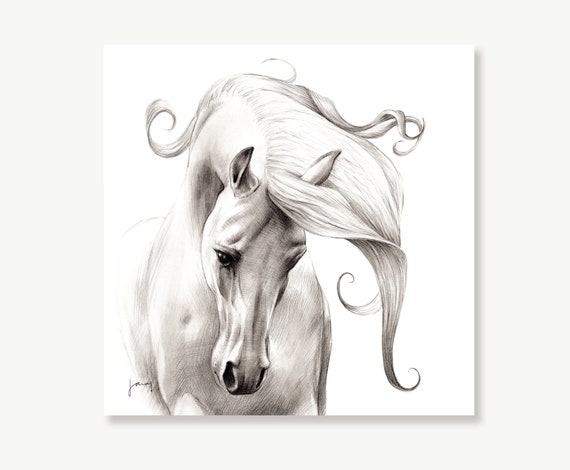 Pencil Drawing Of A Running Horse Stock Illustration - Download Image Now -  Horizontal, Horse, Animal - iStock