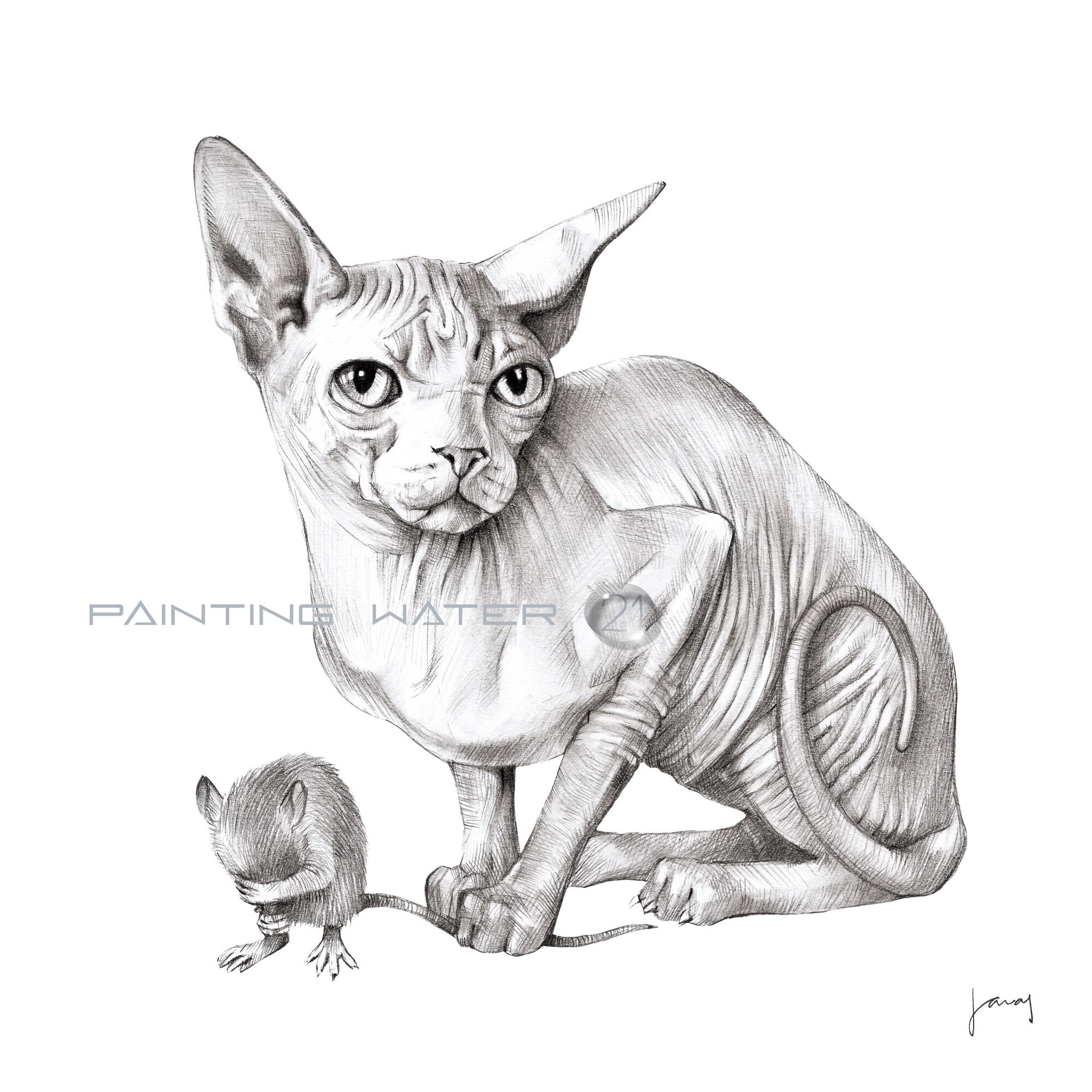 Sphynx Cat Art, Cat and Mouse Illustration, Pencil Drawing, Black & White  Print, Whimsical Art, Hairless Cat, Sketch, Contemporary Wall Art - Etsy